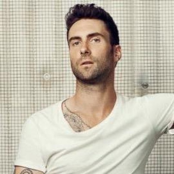 Lead / Supporting Roles in Adam Levine Music Video